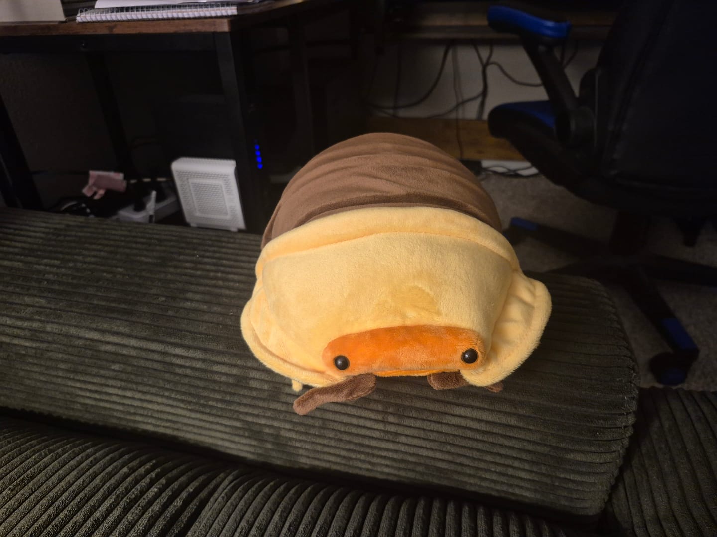 Customer photo review of Rubber Ducky Isopod Soft Stuffed Plush Toy