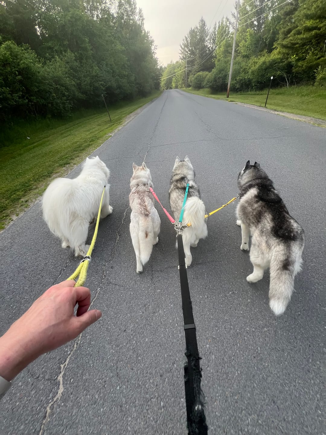 Customer photo review of Lead-All Pro