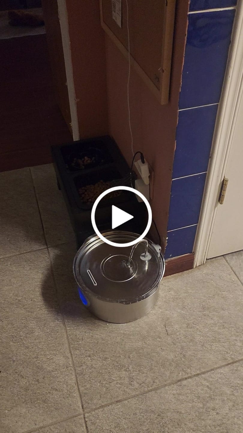 Customer video review of Pawdrate™ Filtered Water Fountain