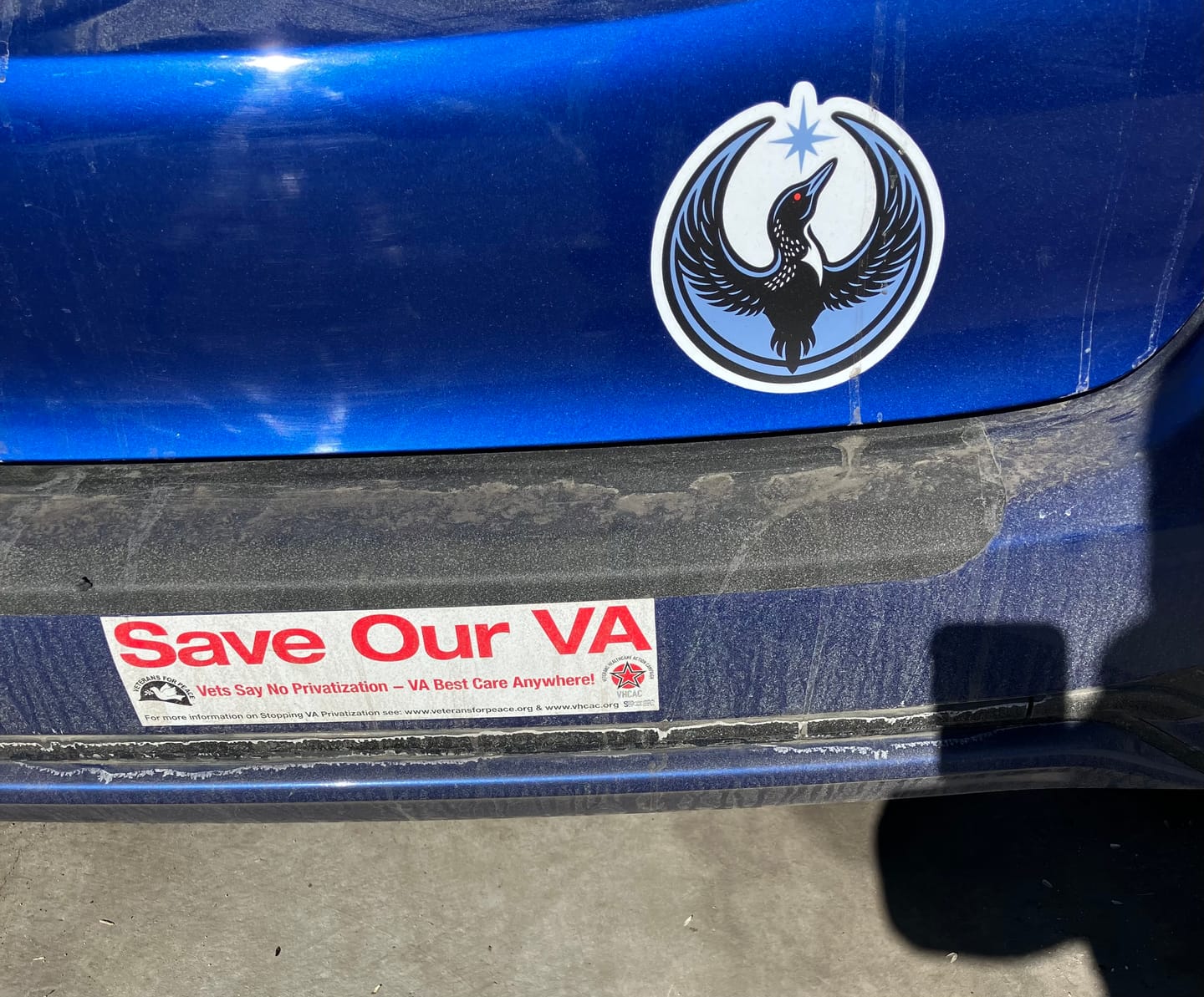 Customer photo review of Large Rebel Loon Vehicle Decal Sticker
