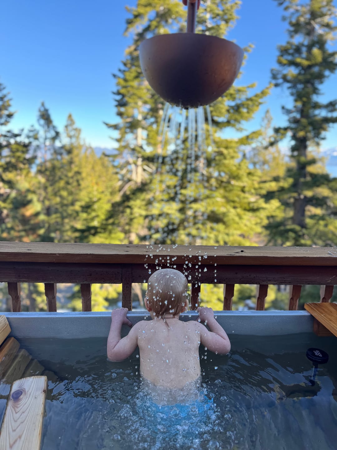 Customer photo review of Bathing Hand Shower