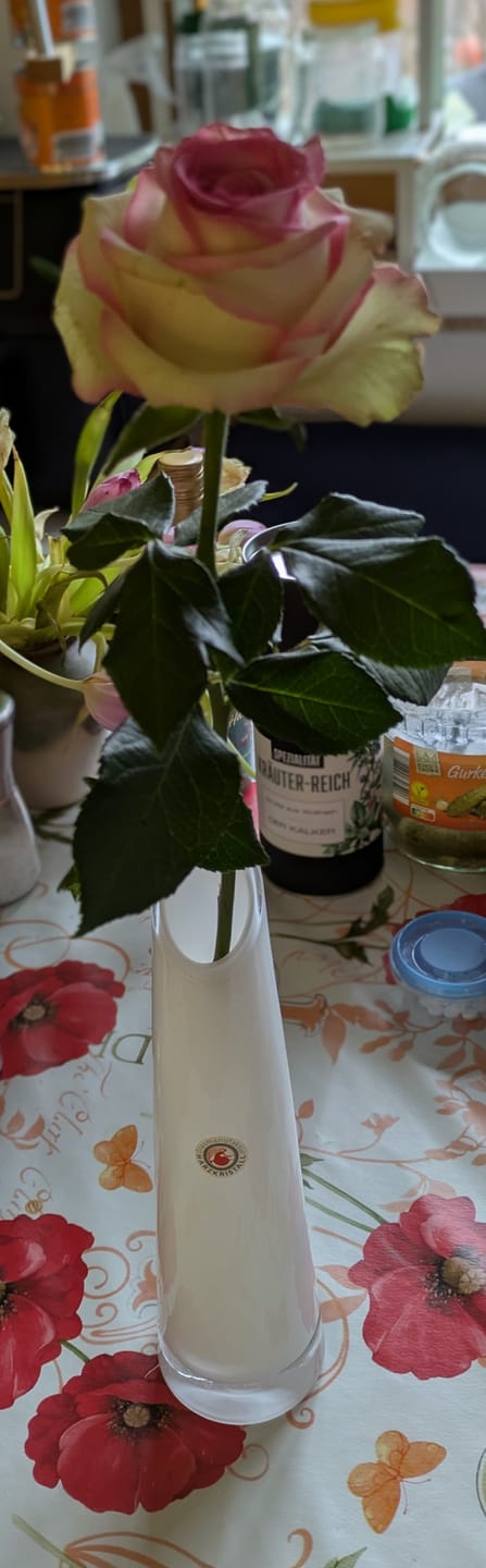 Customer photo review of Vase Lotus