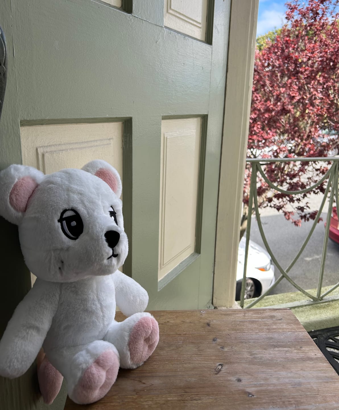 Customer photo review of LEE DONG WOOK [WOOKDONG’s Home Sweet Home] Big Wookdong Plush Doll