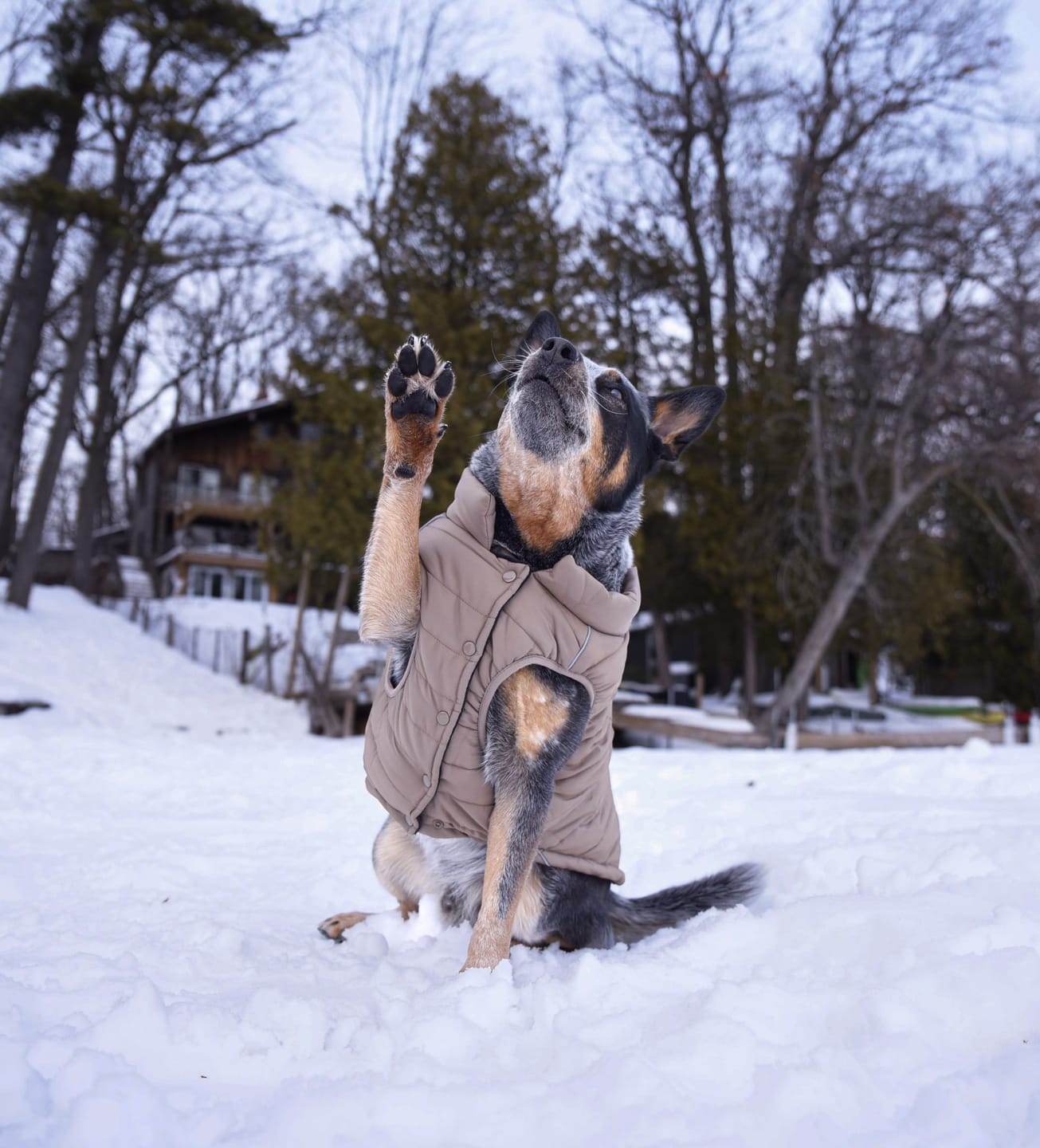 Customer photo review of WarmShield Water-Resistant Jacket - Tan