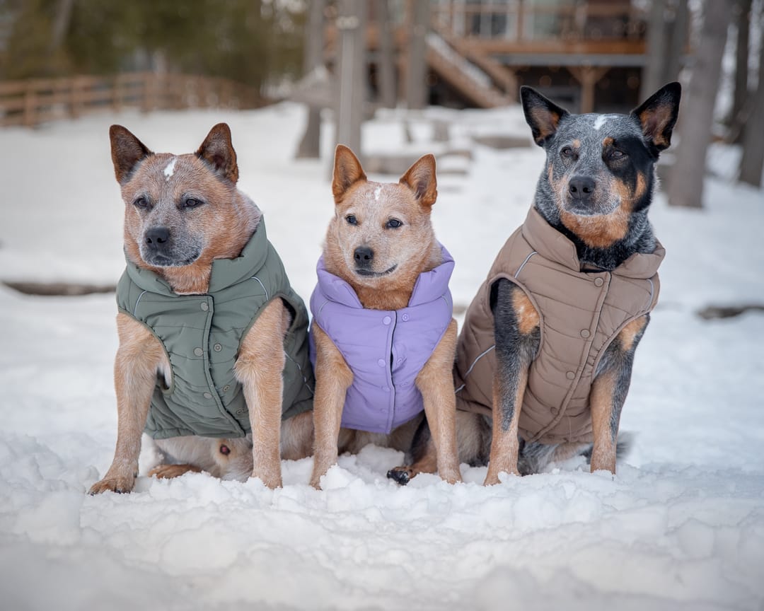 Customer photo review of WarmShield Water-Resistant Jackets