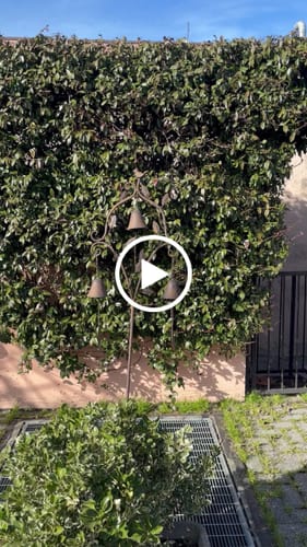 Customer video review of Piantone Decorativo In Ferro Con Campanelle E Uccellino, Perfetto Per Spazi Esterni