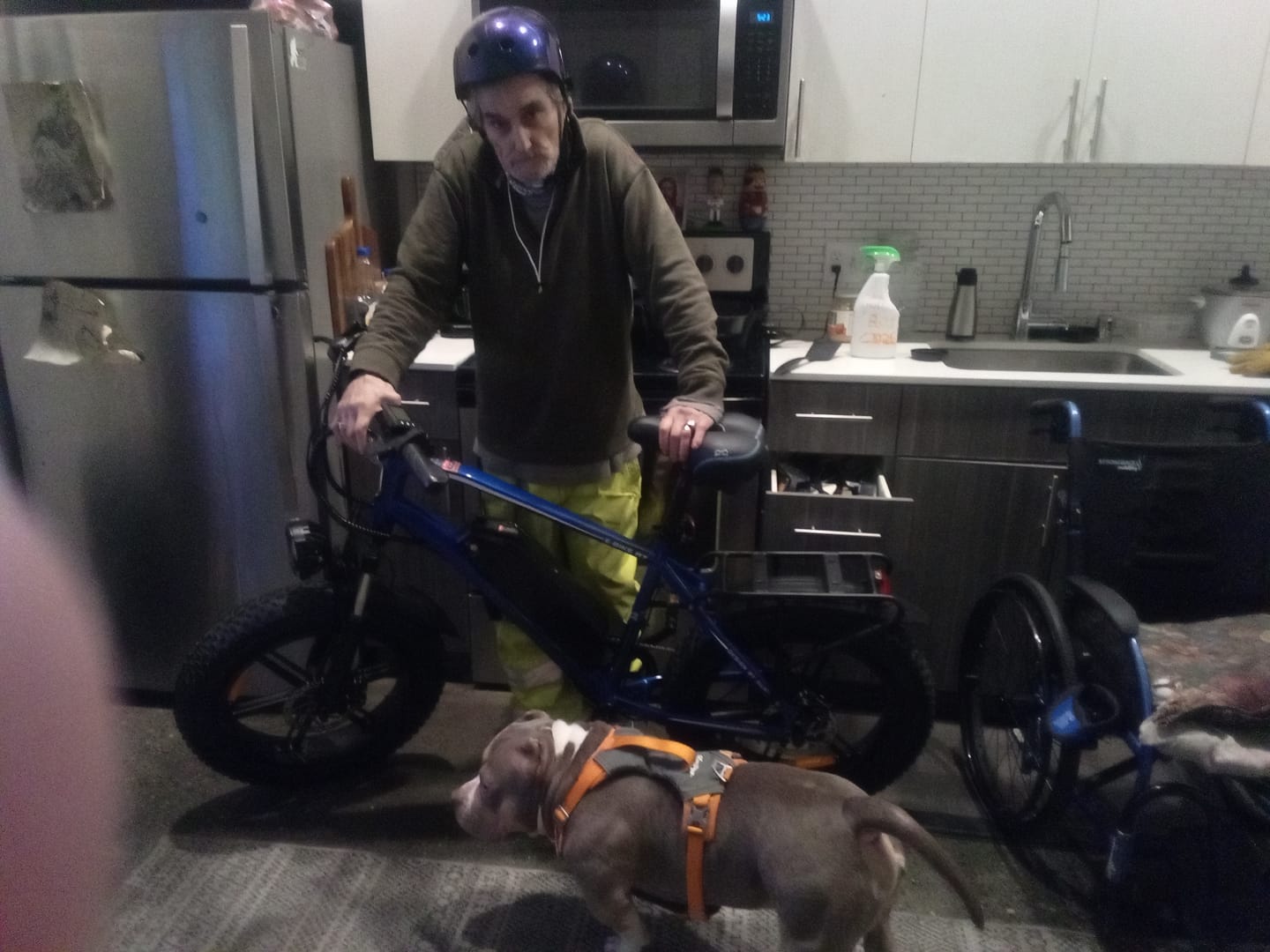 Customer photo review of OUXI R7 750W Fat Tire Electric Bike