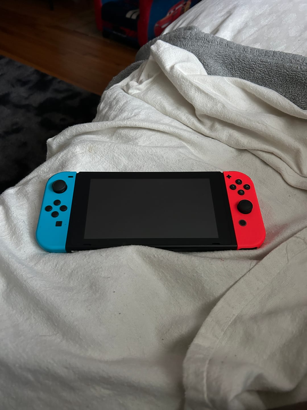Customer photo review of Plenbo Medium-sized Carry Case