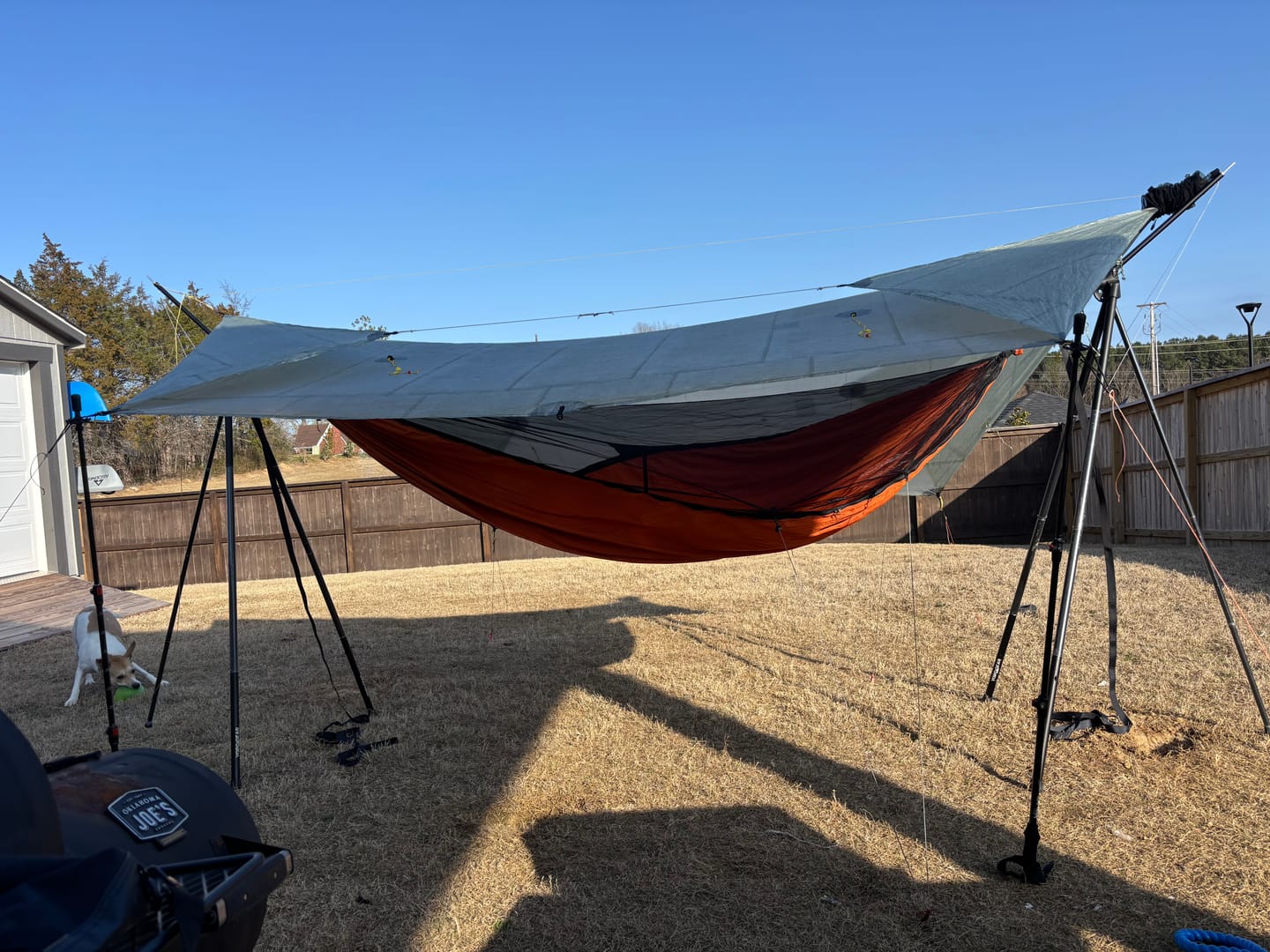 Customer photo review of Turtlebug Camper Hammock Stand