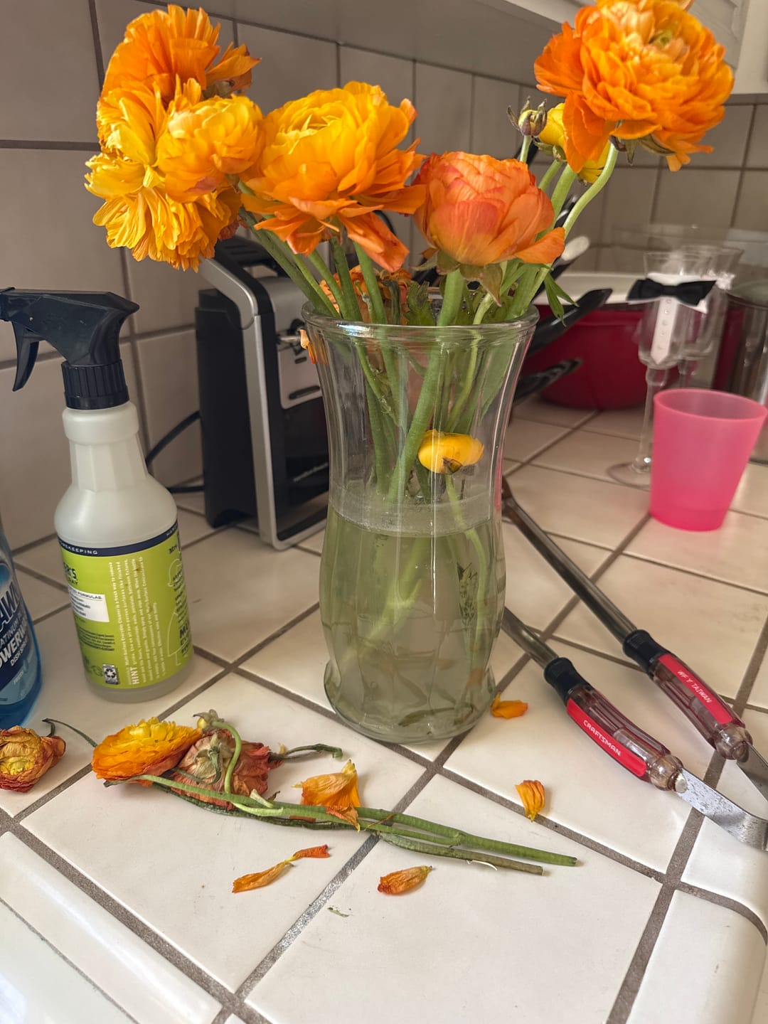 Customer photo review of Orange Ranunculus