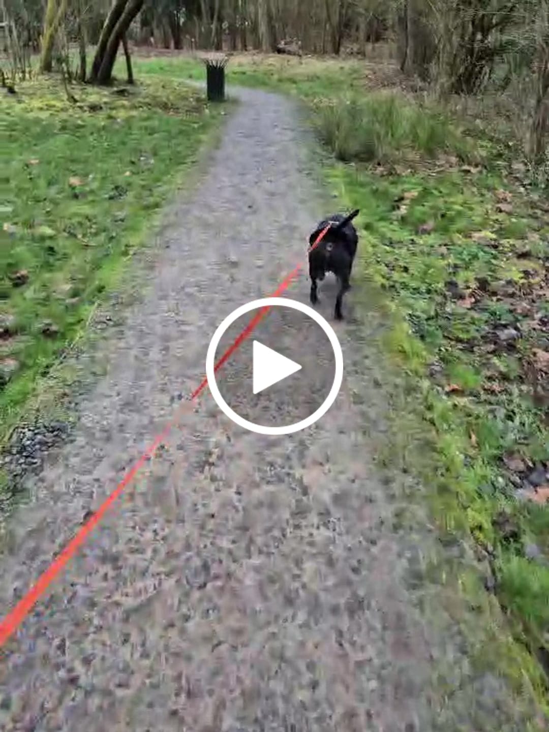 Customer video review of WarmShield Water-Resistant Jacket - Black