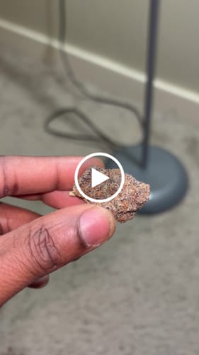 Customer video review of Goji Berry Runtz THCA Flower