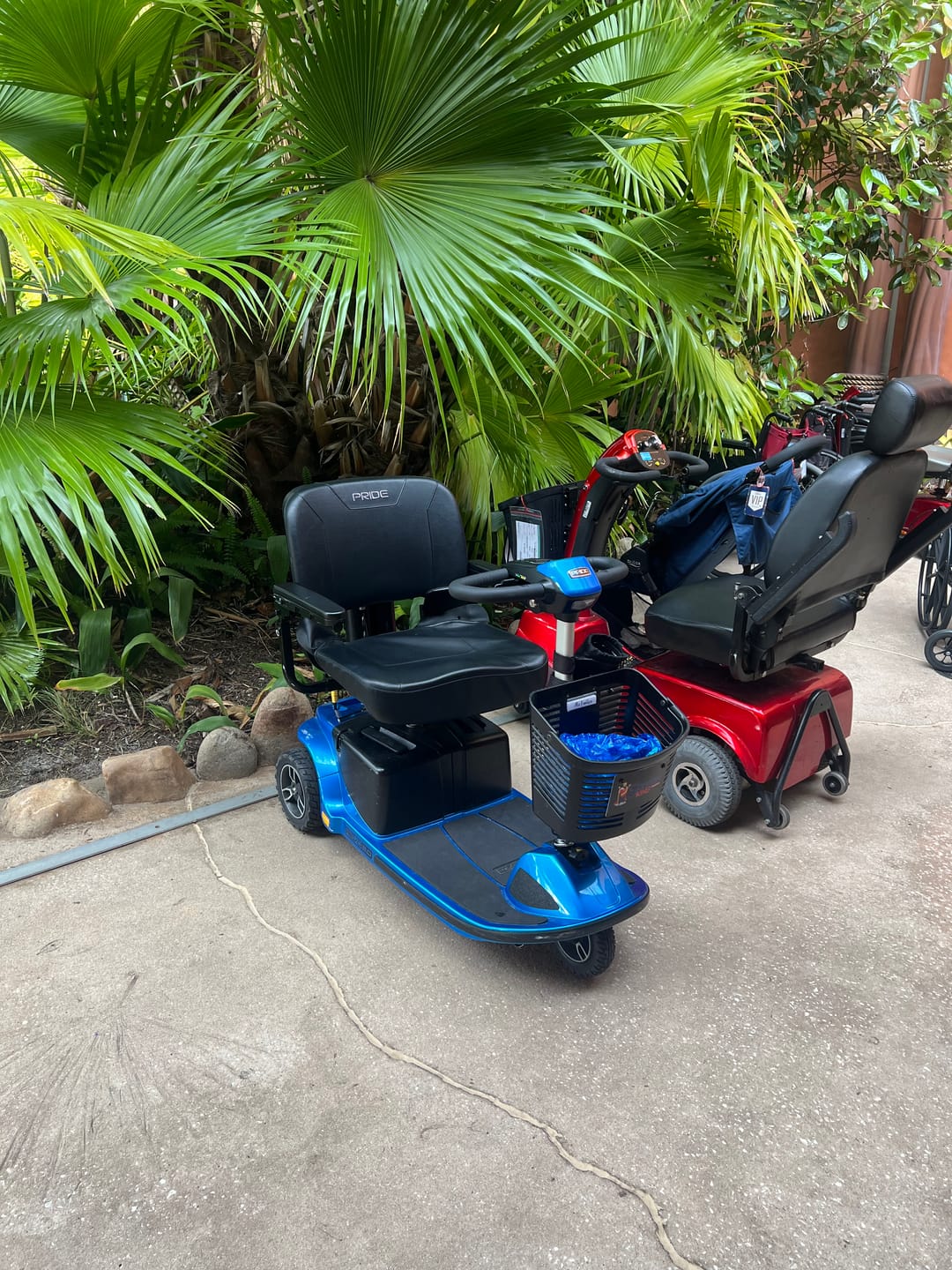 Customer photo review of Multiday Rental 3 Wheel 400 Pound Rated Scooter