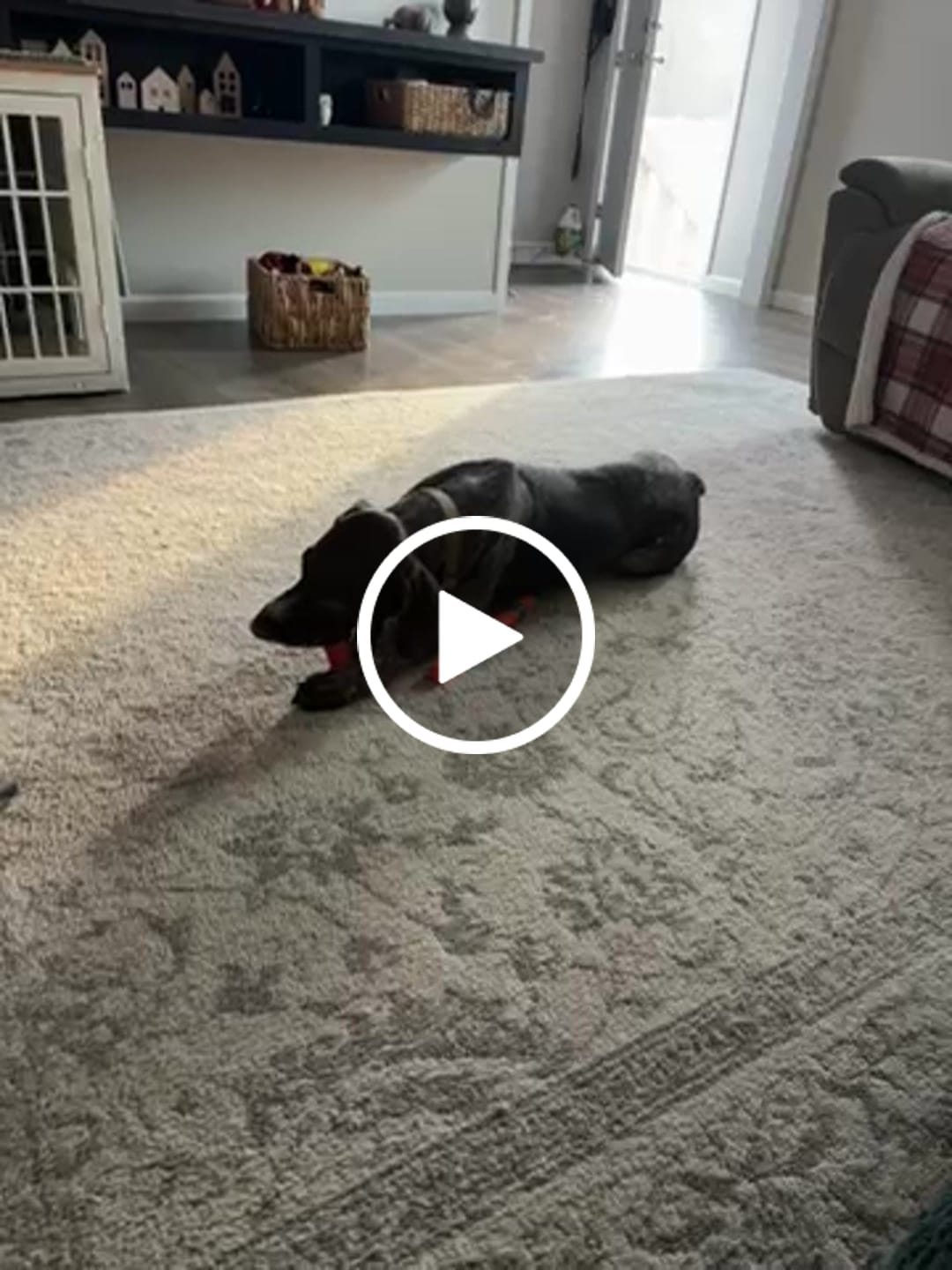 Customer video review of Strawberry Yak Chews