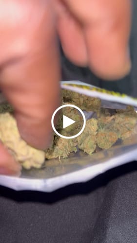 Customer video review of Divine Banana THCA Flower