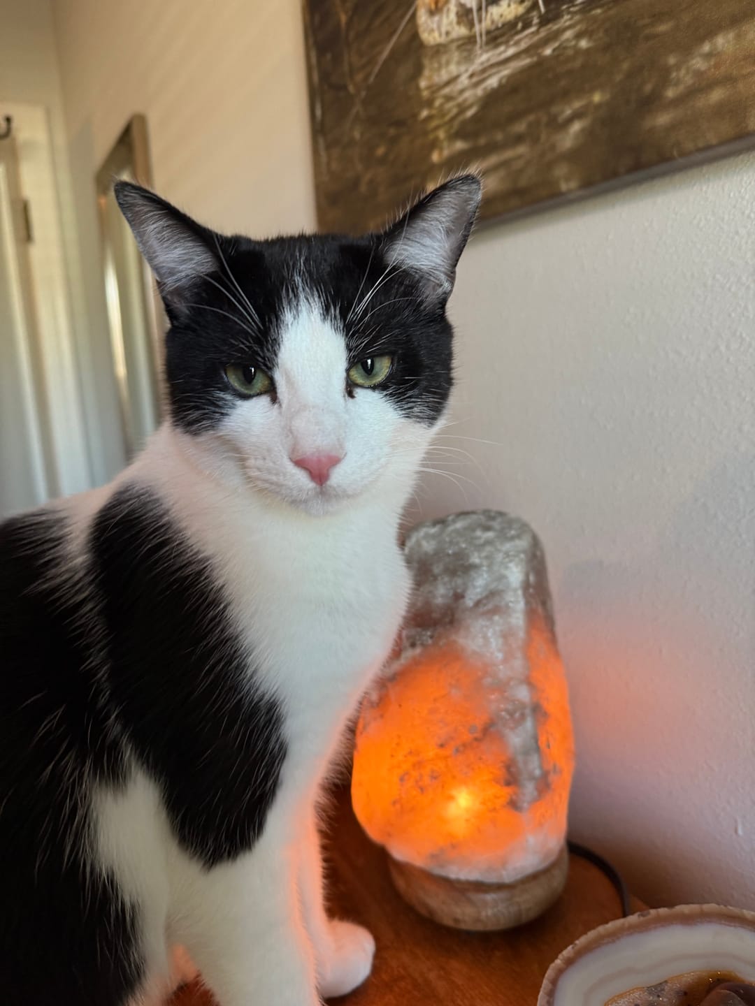 Customer photo review of Rare Gray Himalayan Salt Lamp
