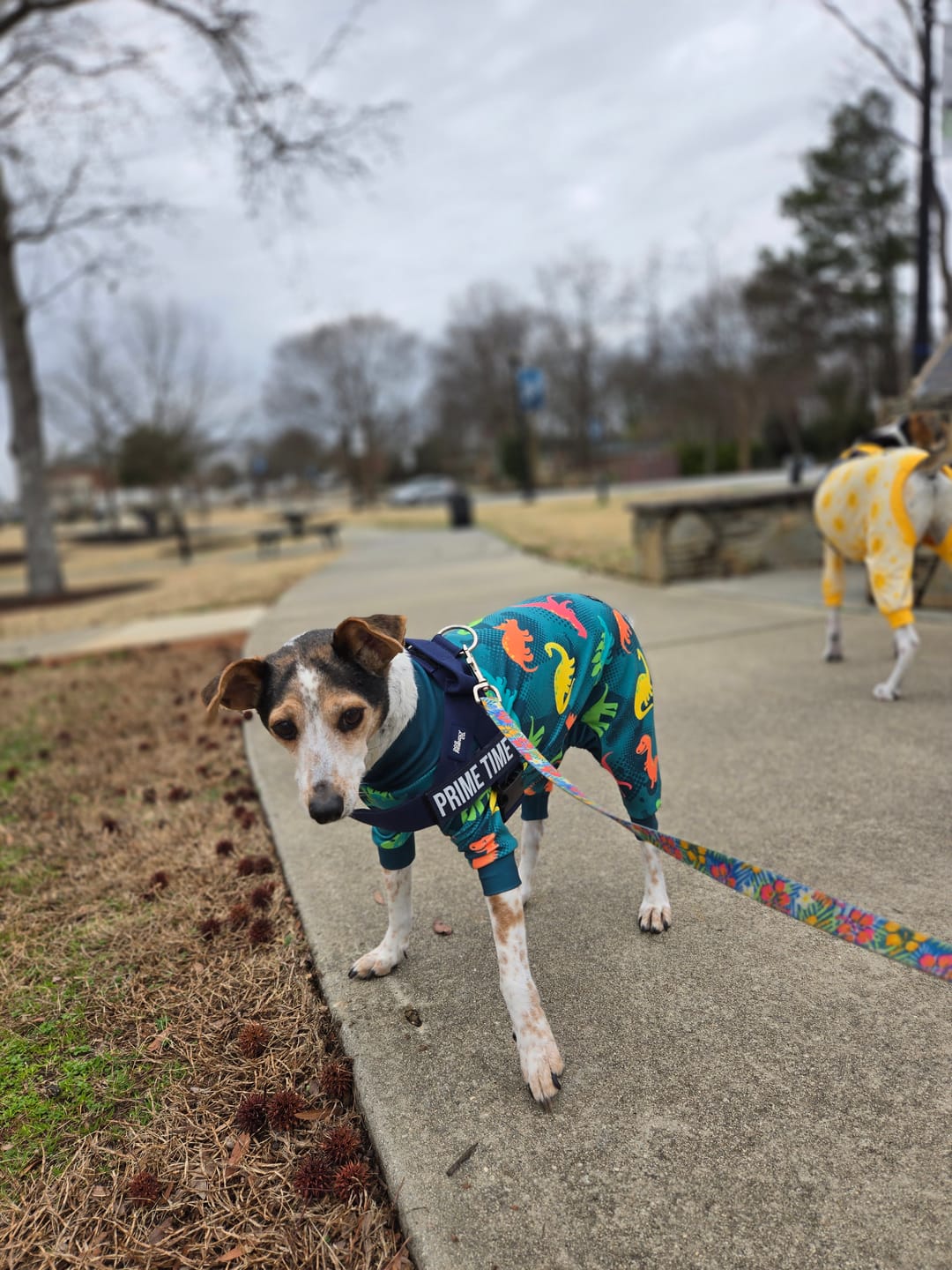 Customer photo review of Dog Pajama Prints