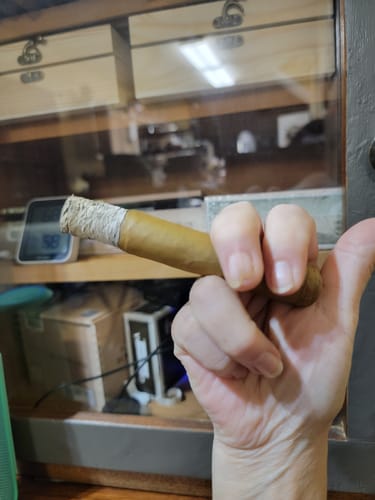 Customer photo review of Don Roque SUNCHASER