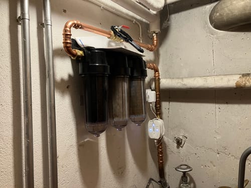 Bildrecension från Cai L.