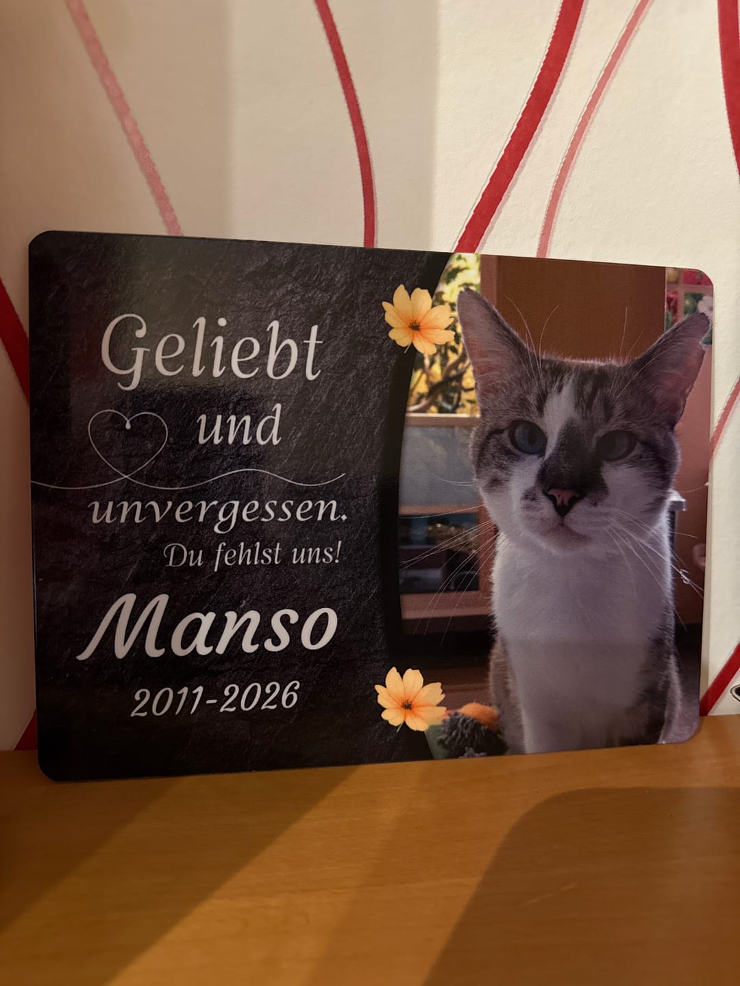 Customer photo review of Katzen Gedenktafel mit Foto & Spruch (UV- & Wetterfest)