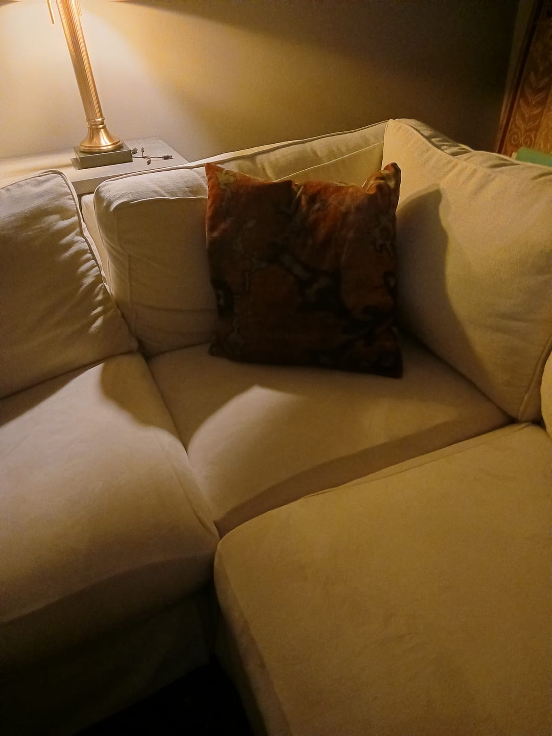 Customer photo review of Stretch Velvet Couch Cushion Covers Non-Slip Sofa Slipcovers