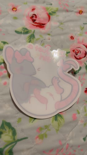 Customer photo review of Just A Girl Rat Window Sticker