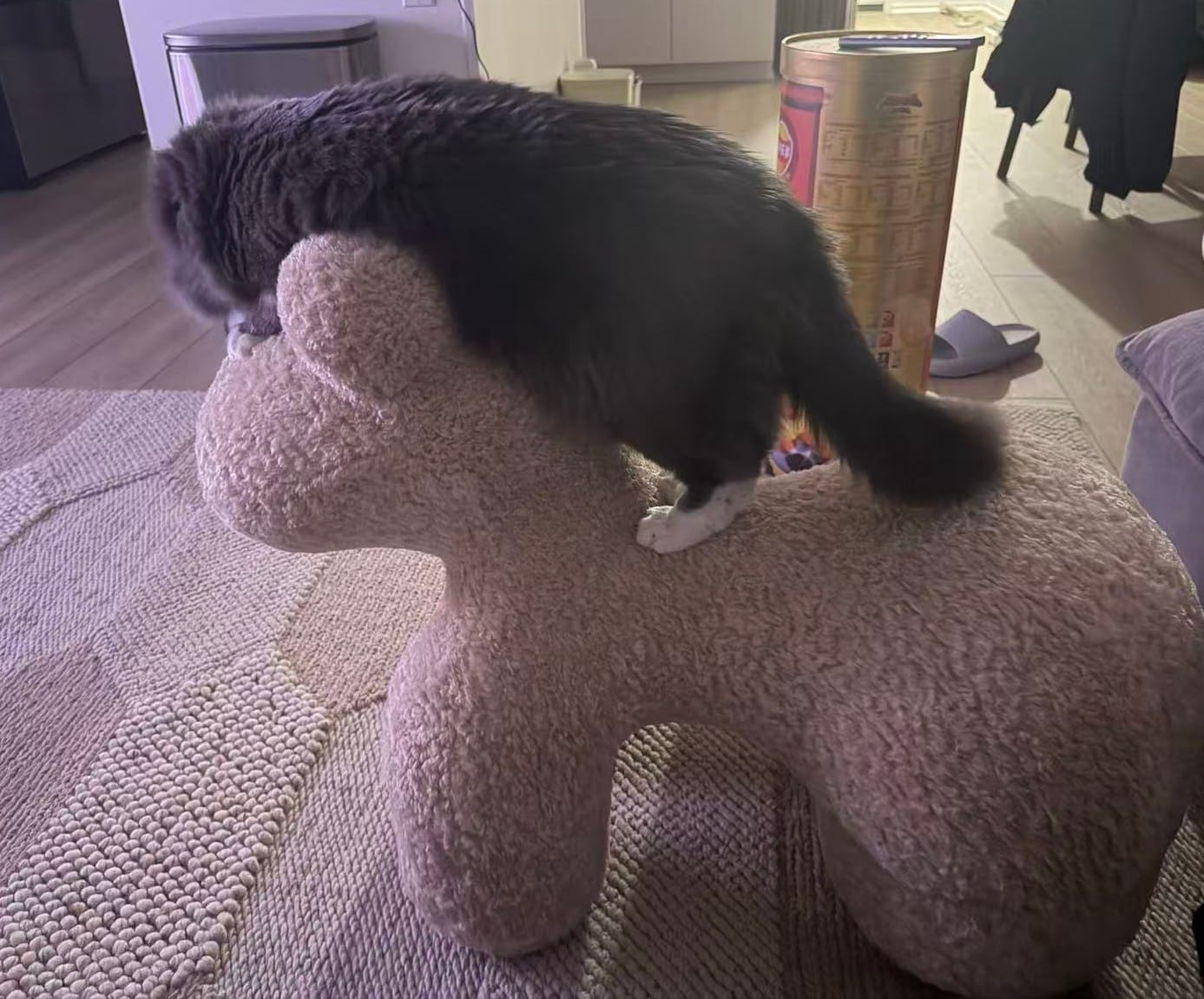 Customer photo review of Ultra Soft Pony Accent Chair