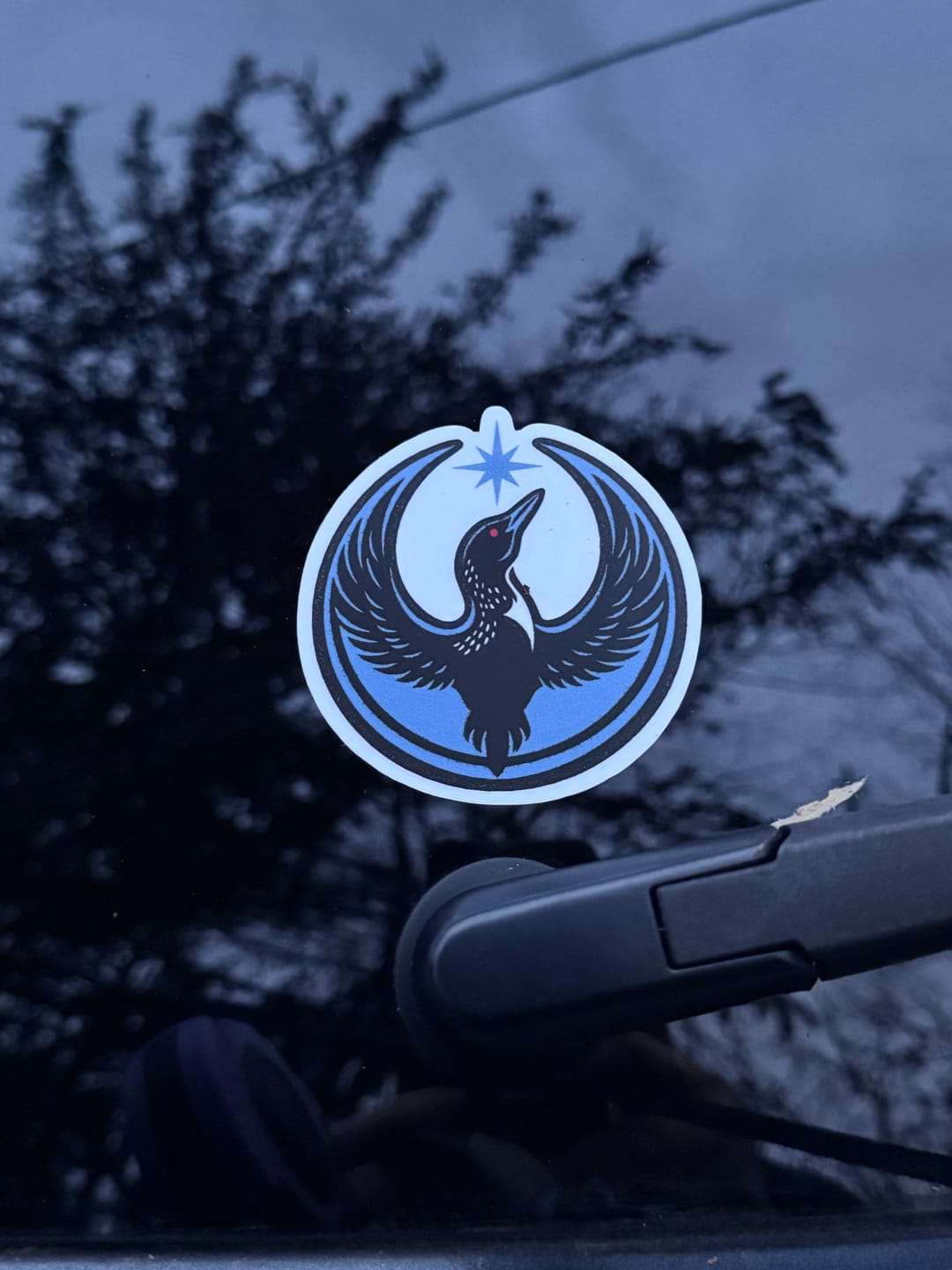 Customer photo review of Rebel Loon Sticker