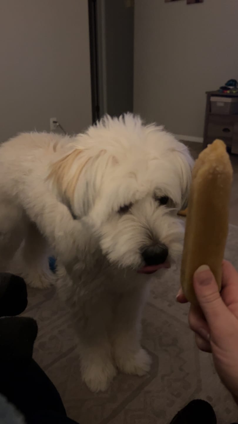 Customer photo review of Regular/Unflavored Himalayan Yak Chews | 6-Sizes (for Small to Big Dogs)