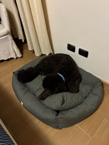 Customer photo review of Divanetto Mattias Antracite (Soft Touch)