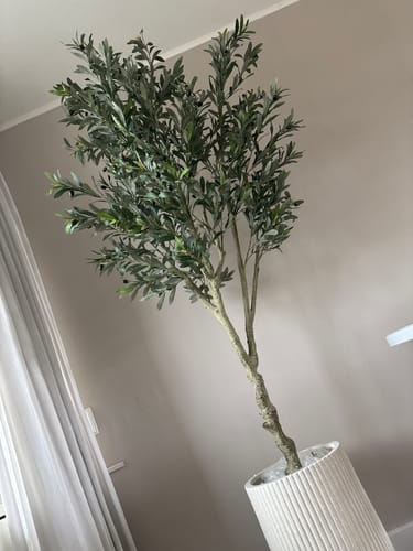 Customer photo review of Kunst Olijfboom 210cm