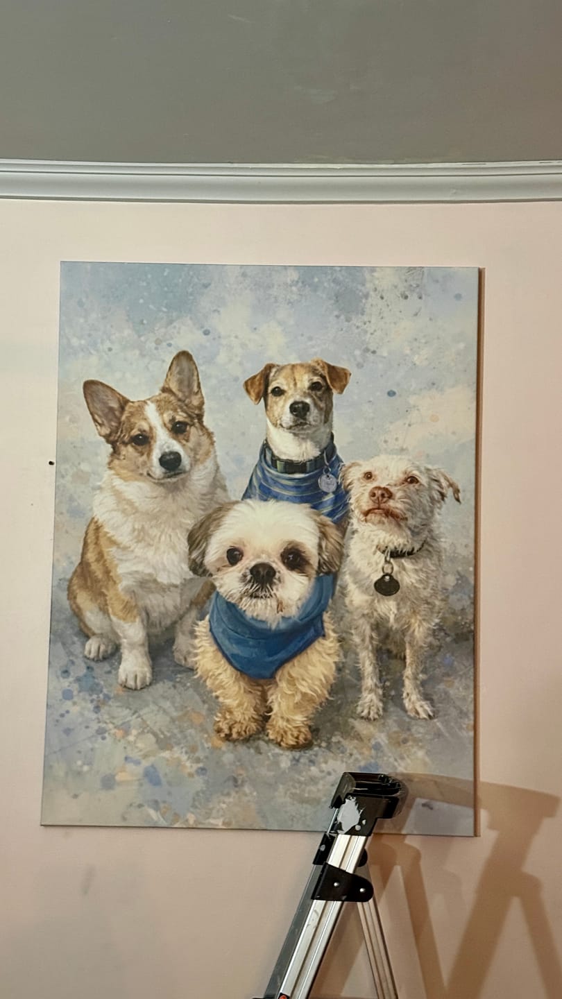 Customer photo review of Custom Pet Portrait - Abstract Style