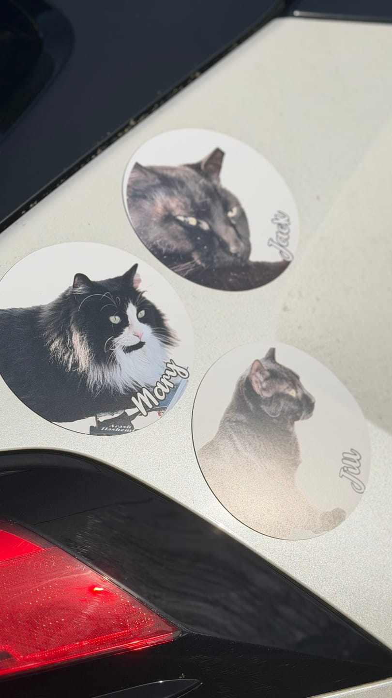 Customer photo review of Your photo - Personalized Car Magnet