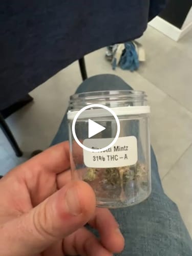 Customer video review of Biscotti Mintz 31% THCA