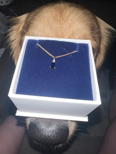 Customer photo review of Created Sapphire & 0.005ct TDW Diamond Drop Pendant Necklace in 9ct Yellow Gold