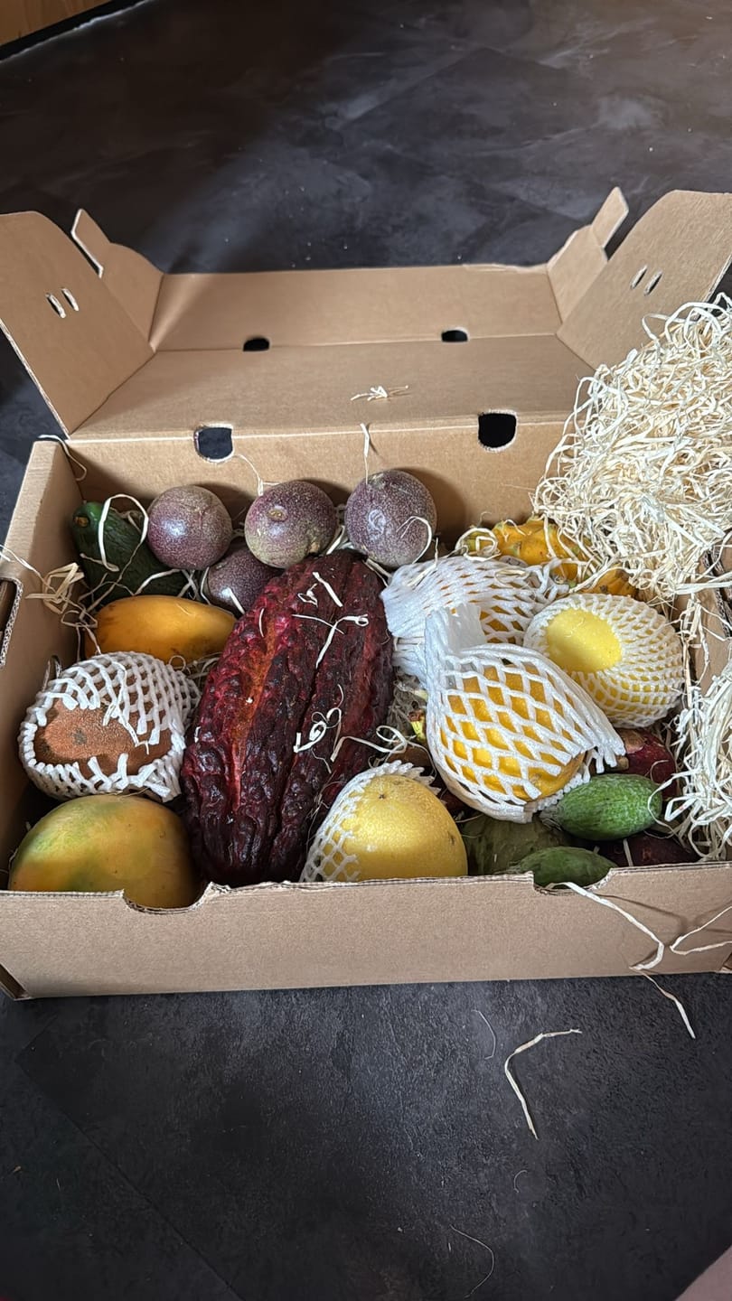 Customer photo review of Tropenreise Südamerika Box