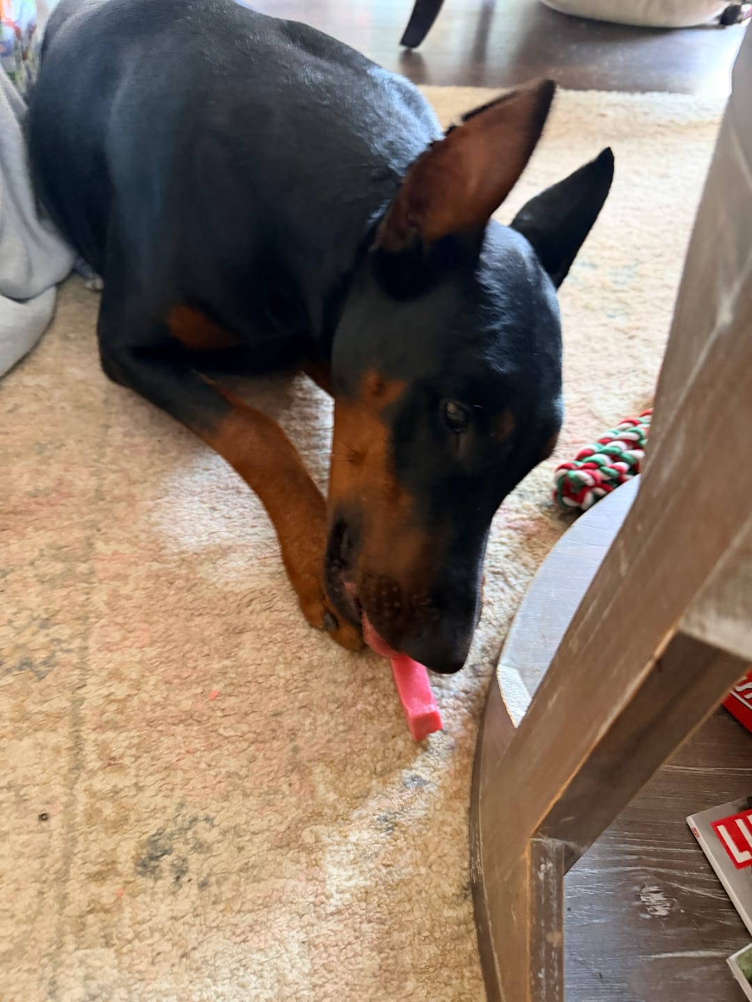 Customer photo review of Strawberry Yak Chews