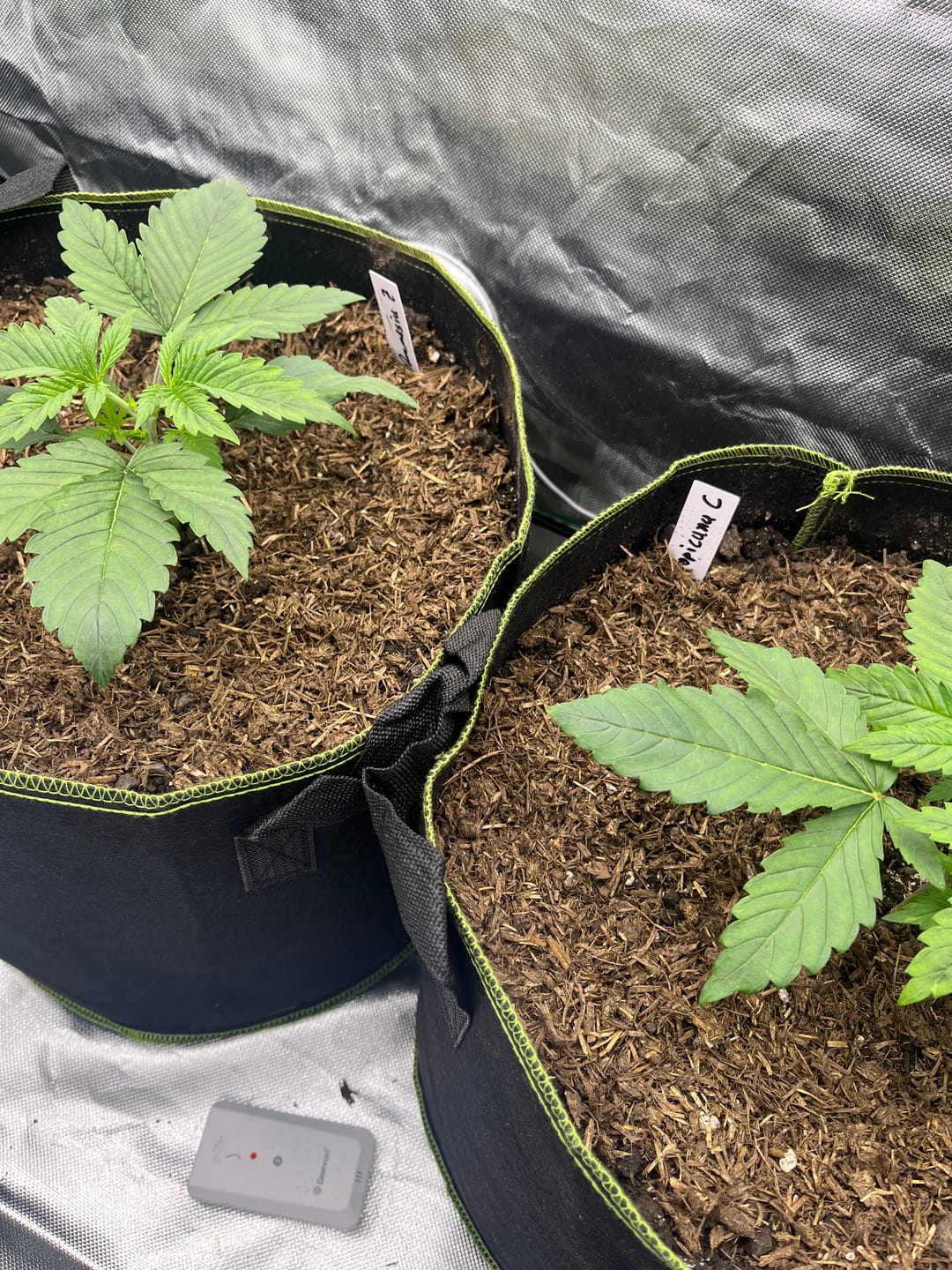 Customer photo review of Bio Hanferde 20L