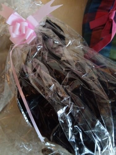 Customer photo review of Eurasian Coot Bird Stuffed Plush Toy