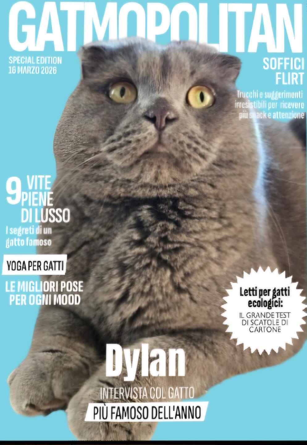 Customer photo review of Gatmopolitan - Poster personalizzato