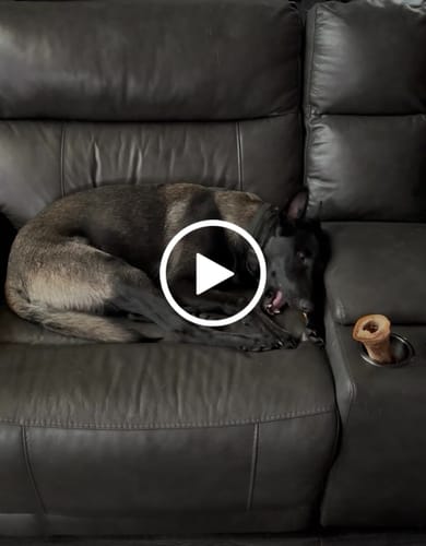 Customer video review of Smoked Beef Marrow Bone