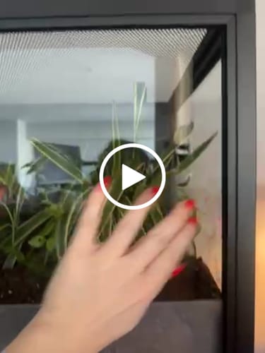 Customer video review of 36'' Spacer Cabinet For 50 Gallon Reptile Tanks