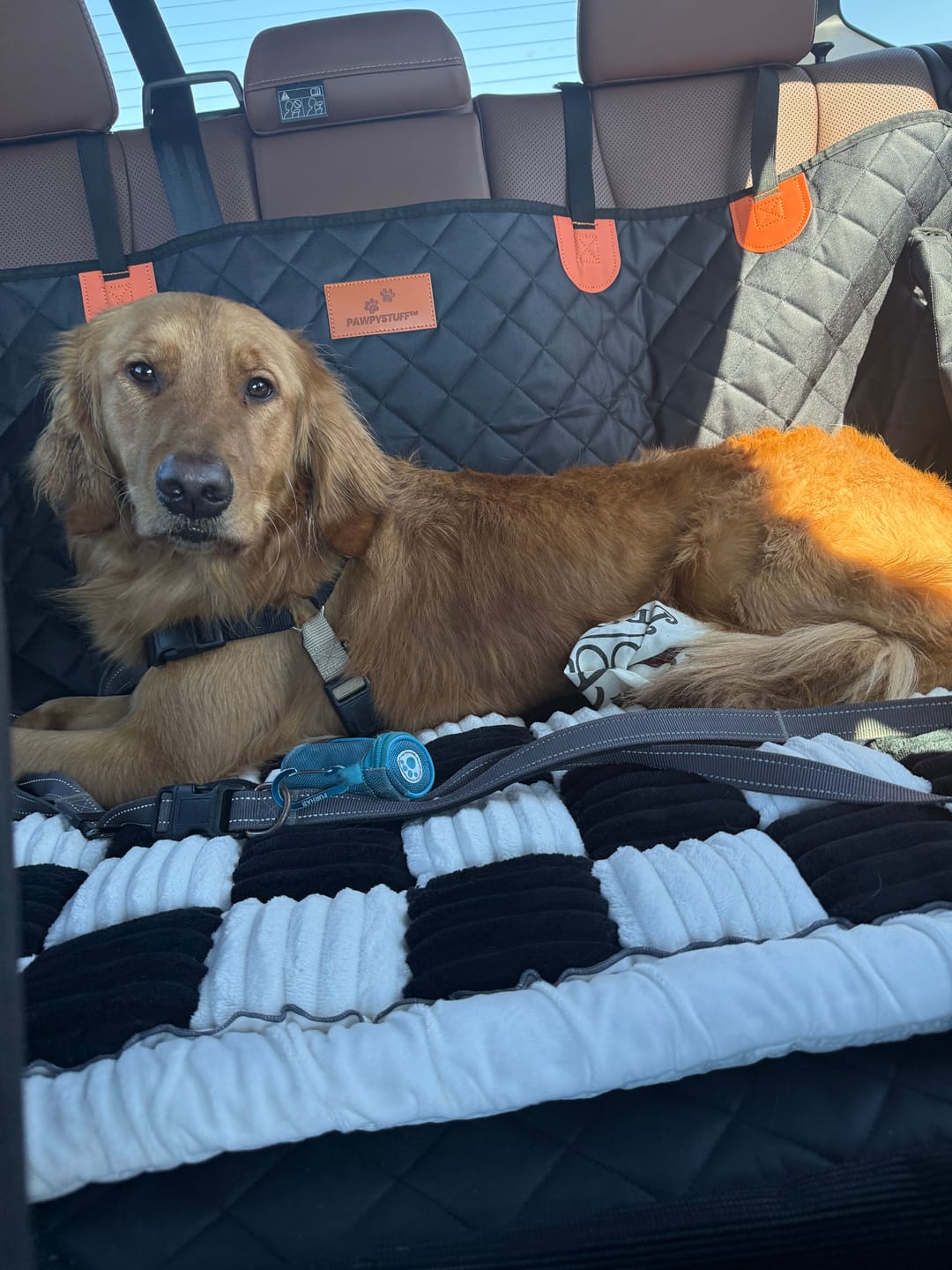Customer photo review of CozyRider™ 2.0
