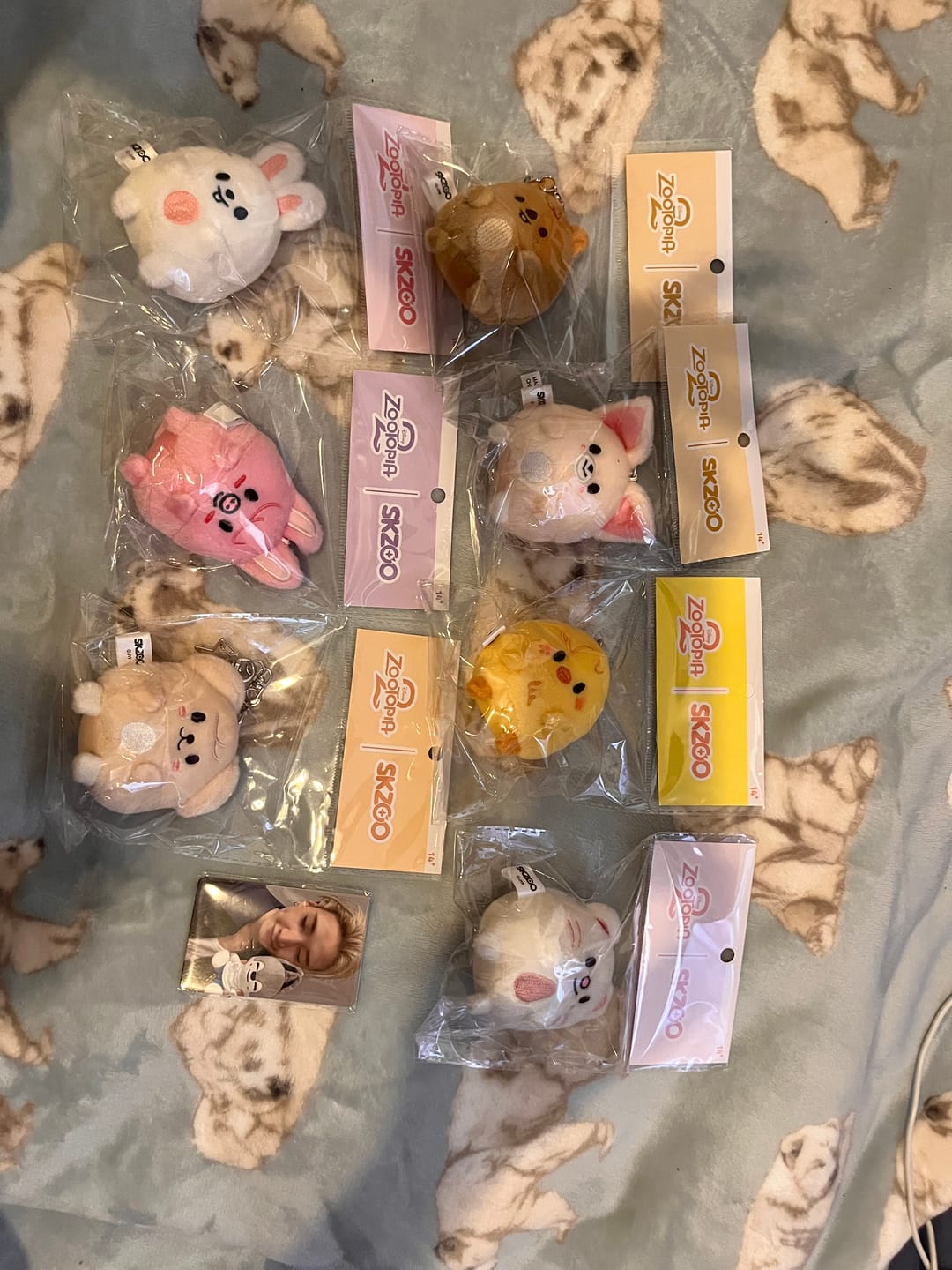 Customer photo review of STRAY KIDS - ZOOTOPIA 2 SKZOO POP UP OFFICIAL MD UFUFY PLUSH