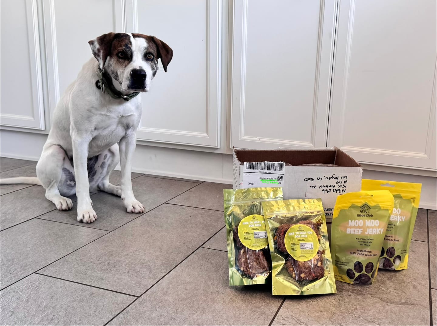 Customer photo review of Tail Wagging Bundle