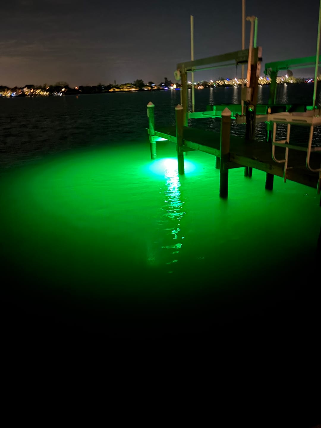Customer photo review of DM260G DockMaster Above Water Dock Light-Green
