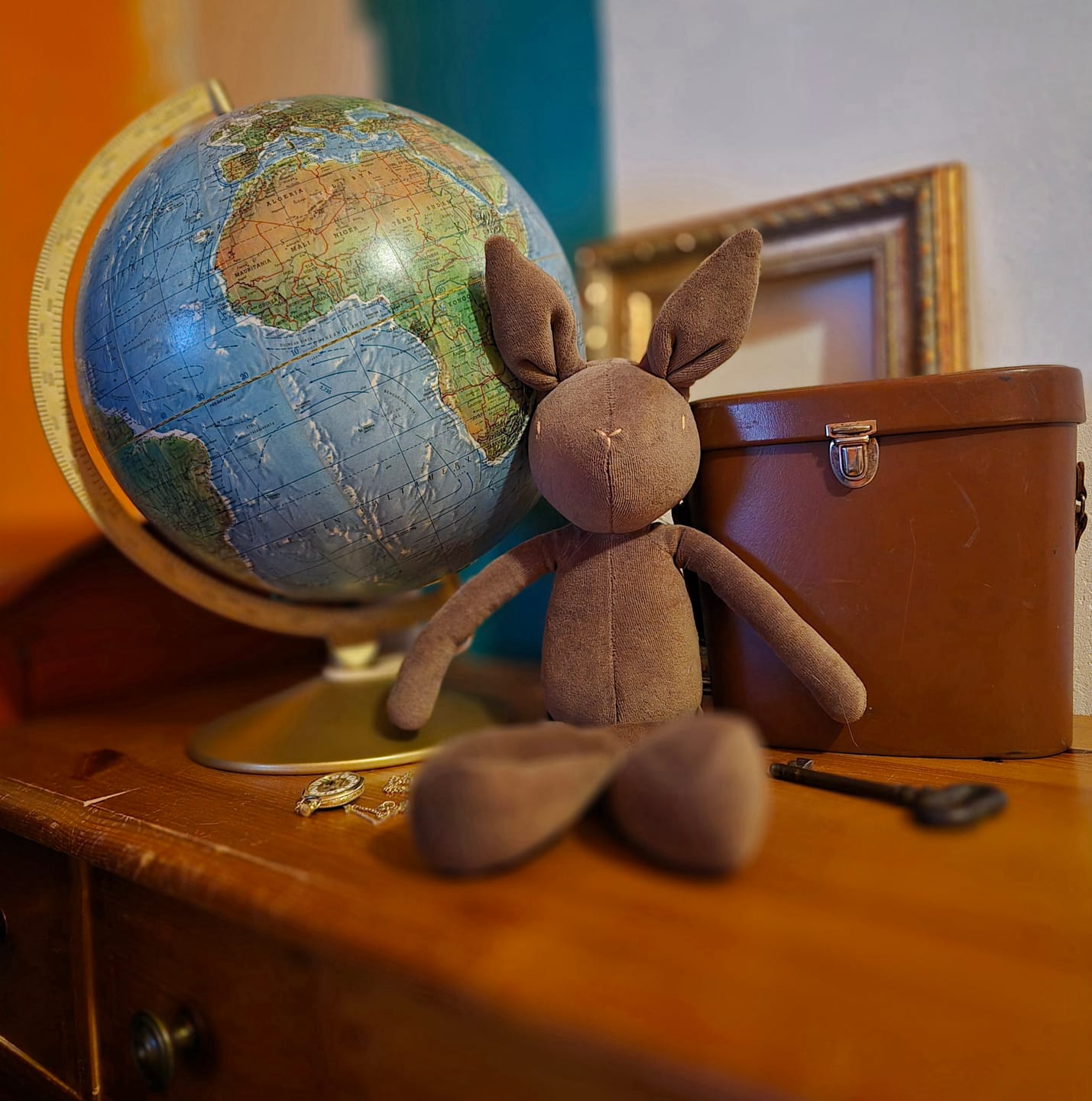 Customer photo review of DANIEL LE LAPIN - M/L