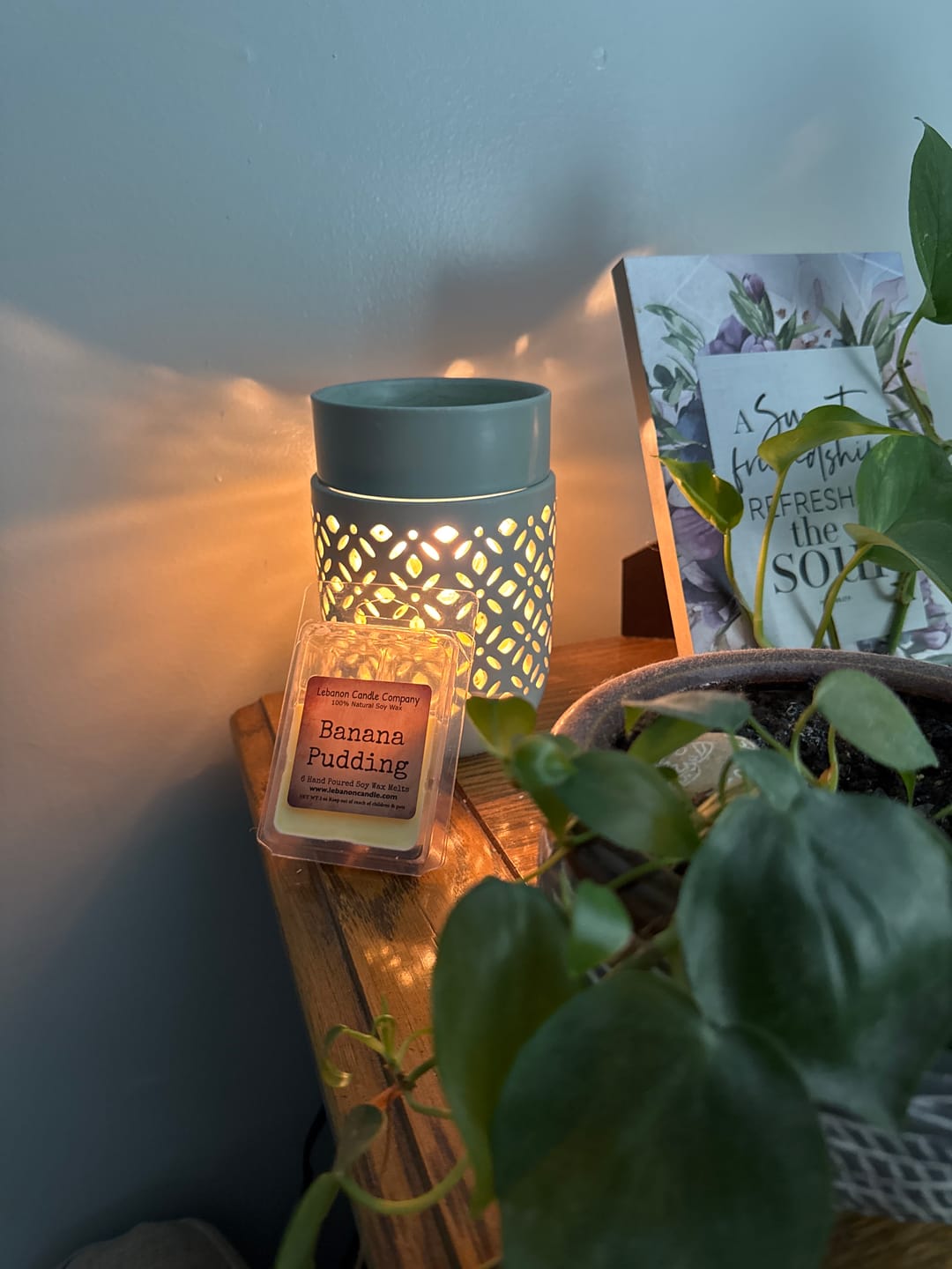 Customer photo review of Banana Pudding Wax Melt