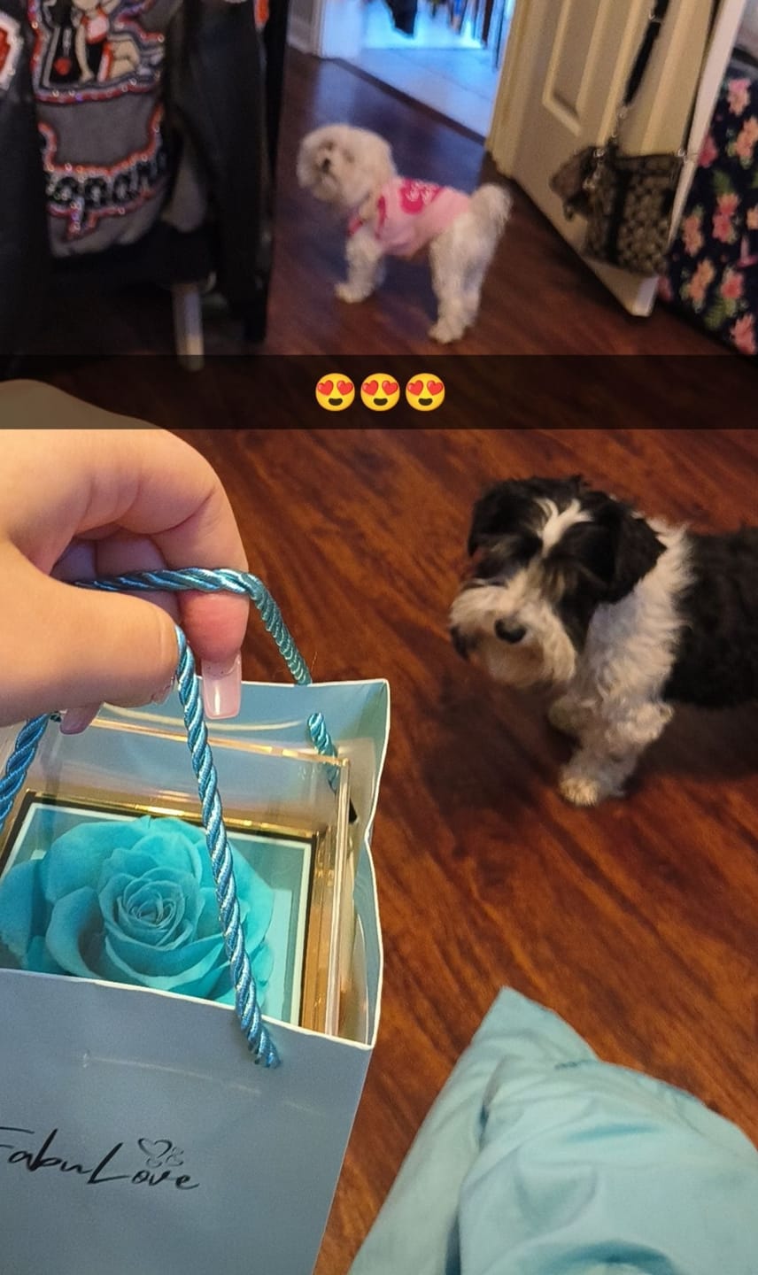 Customer photo review of Rotating Eternal Rose Gift Box