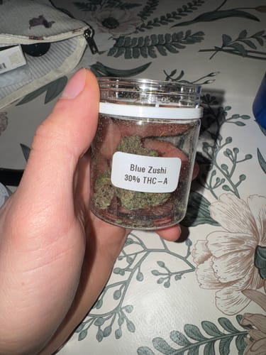 Customer holding a clear jar labeled 'Blue Zushi 30% THC-A', showing the green flower inside.